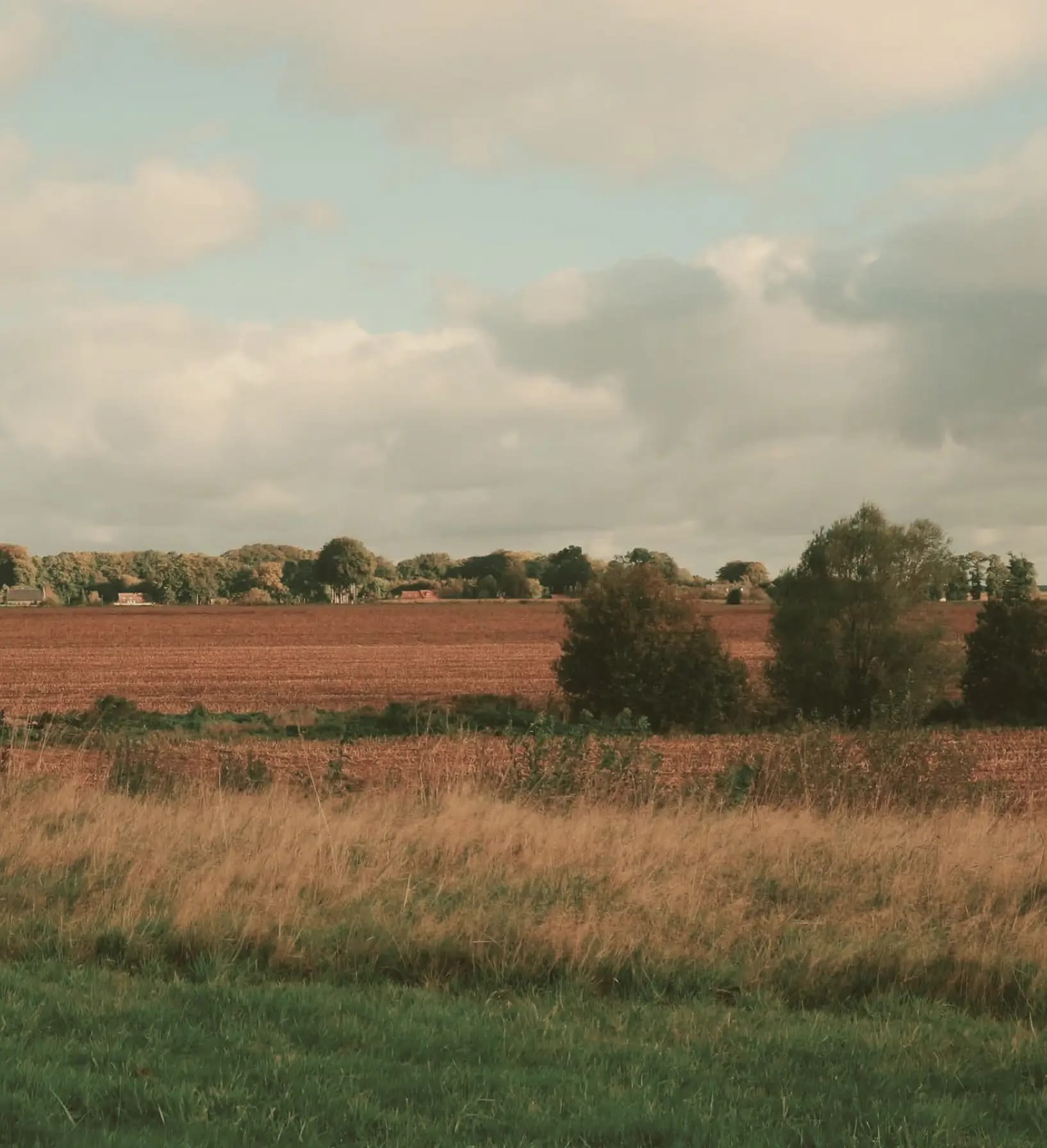 site image