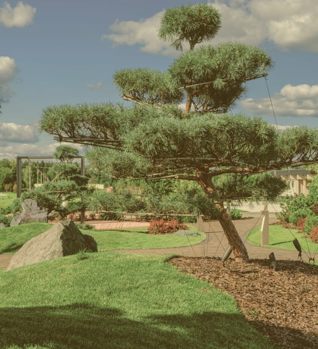 site image