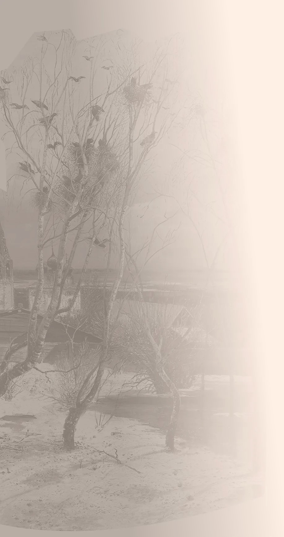 arch_nature_bg