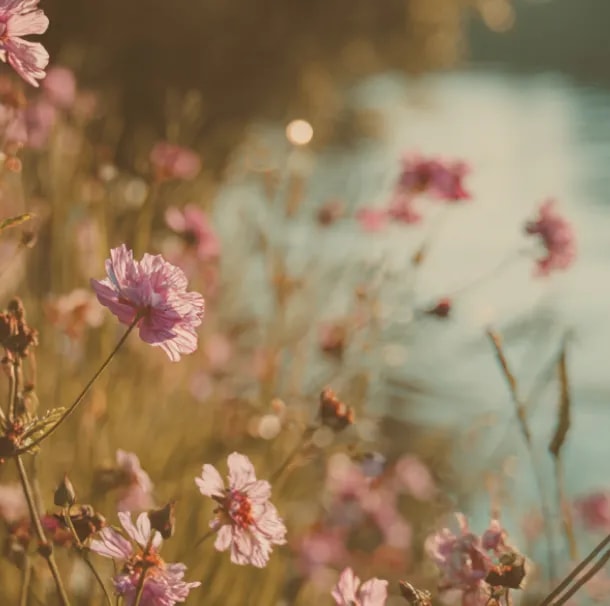 arch_nature_top