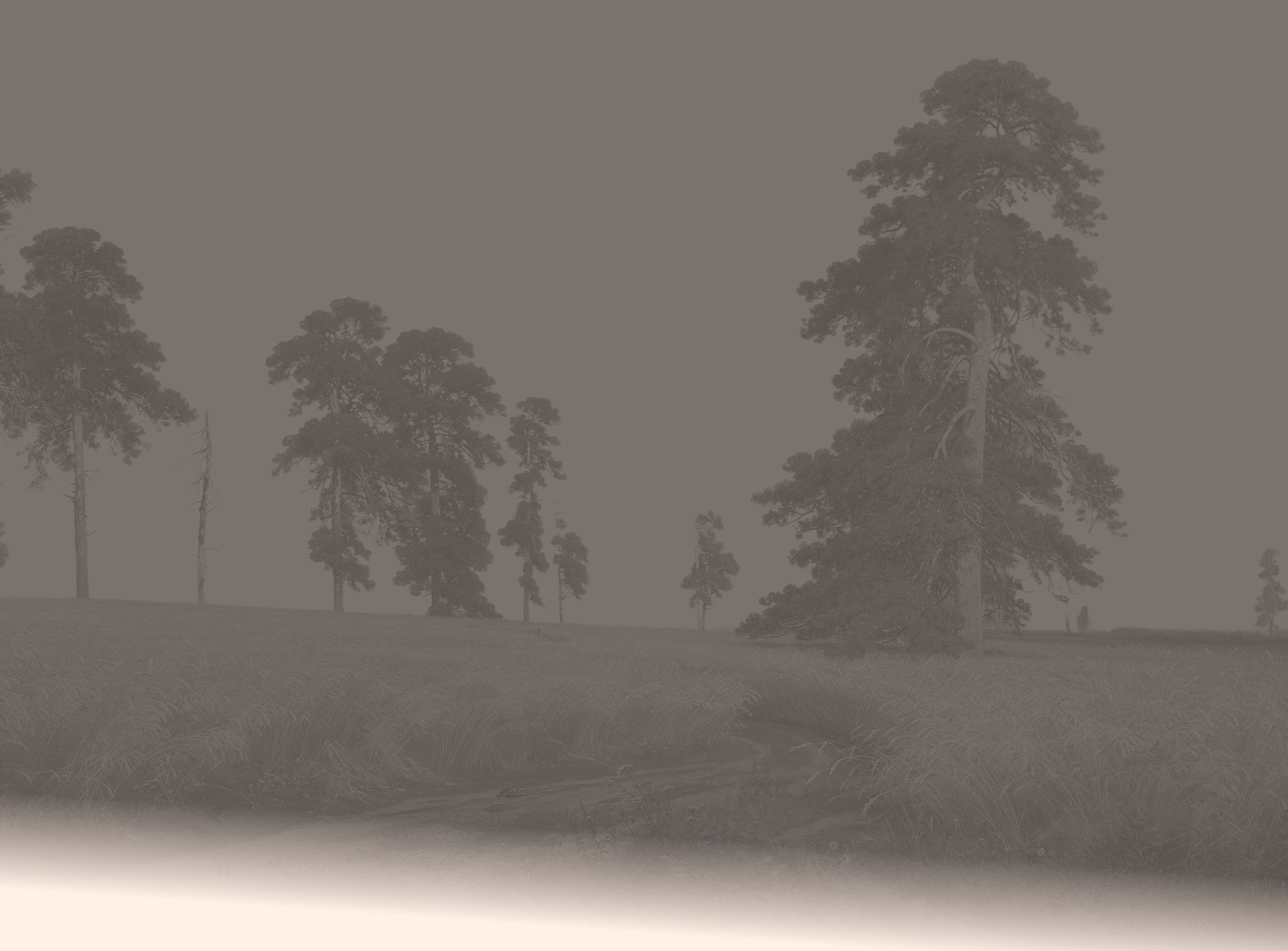 site image