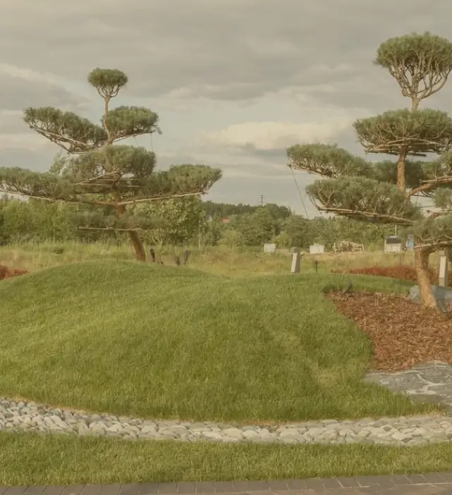 site image
