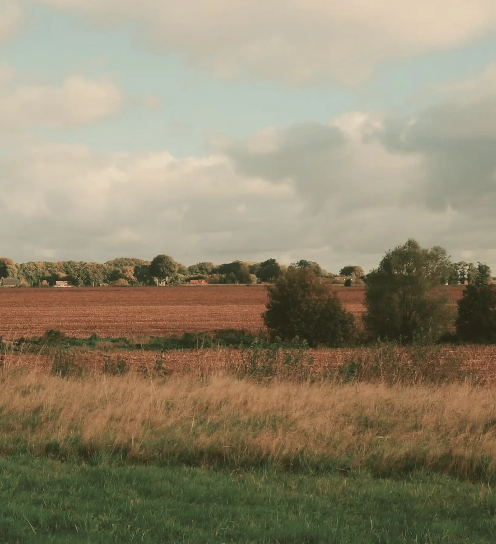 site image